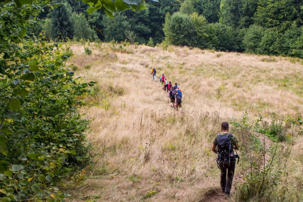 Hacking Work - 7 21586673 1459582567423431 1757092374052192907 o - Hacking Work